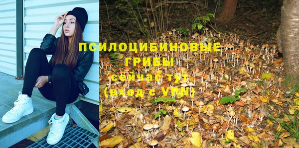 дживик Остров